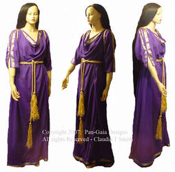 Purple Gold Toga