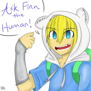 Ask Finn the Human