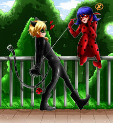 Ladybug and Cat Noir