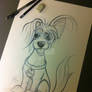 Dog Caricature Silky Terrier X Maltese