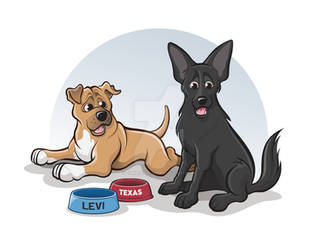 Levi and Texas