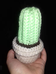 Cactus amigurumi