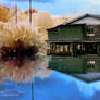 stilt house reflection 2