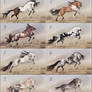 [CLOSED] Equine adoptables | Auction