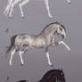 Horses 2