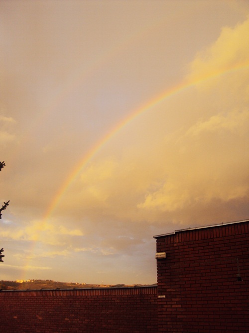 2 Rainbows