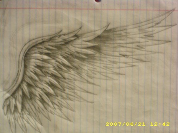 Wings by KelseySparrow67