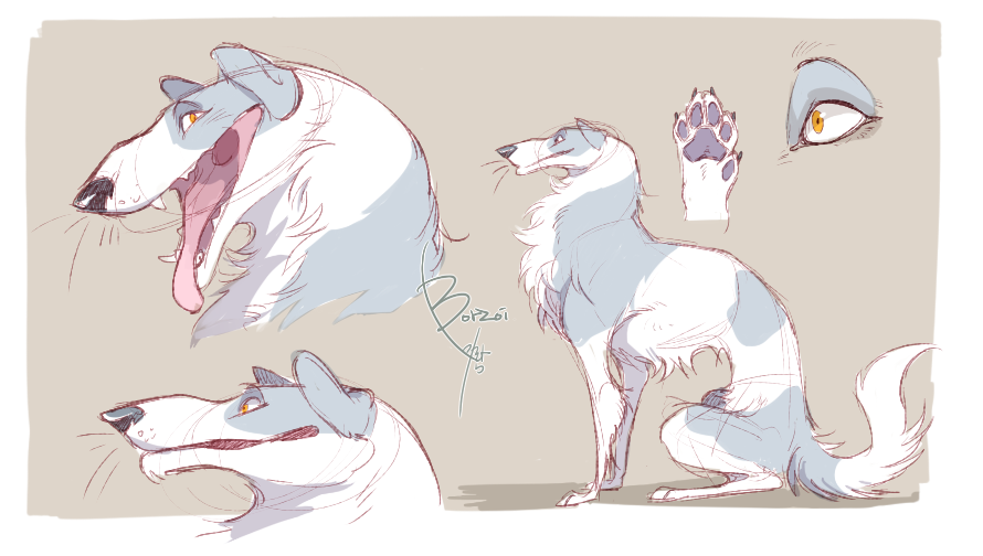 Borzoi