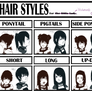 Hair Style Meme