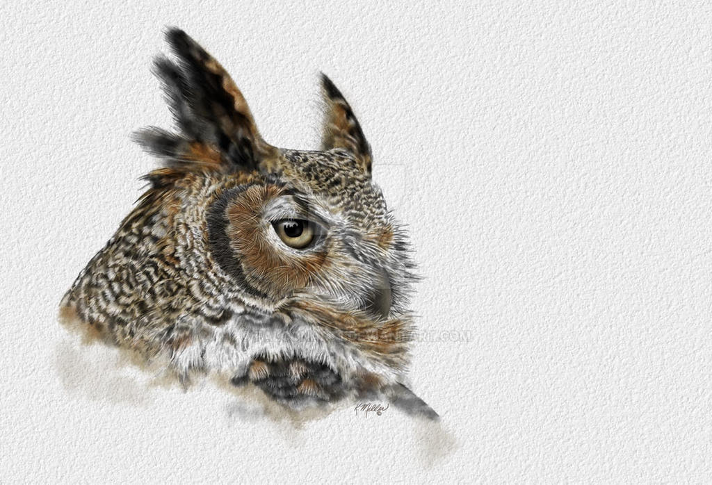 Great horned Owl drawing