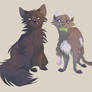 Yellowfang and Cinderpelt