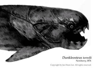 Dunkleosteus terrelli