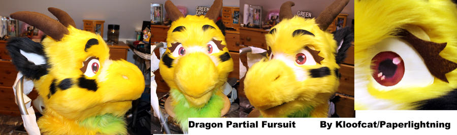 Dragon Partial Fursuit