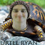 Ryan as a turtle