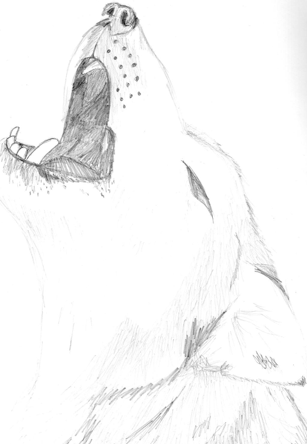 Wolf howl by Nellibob on DeviantArt