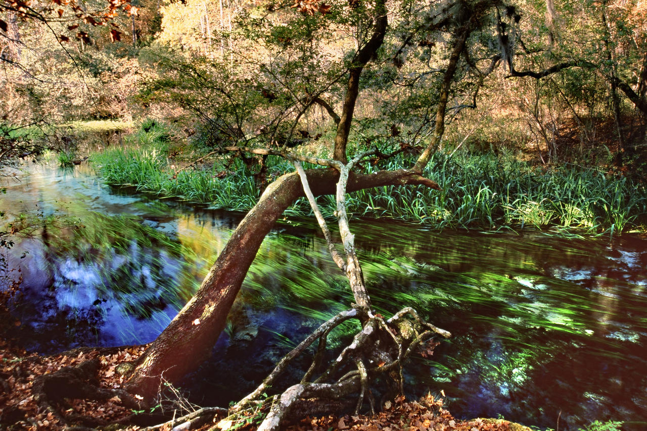 Spring Run by KennethCarson on DeviantArt