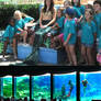 Weeki Wachee Springs