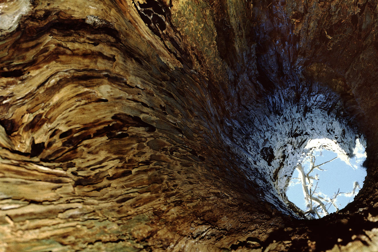 Hollow View by KennethCarson on DeviantArt