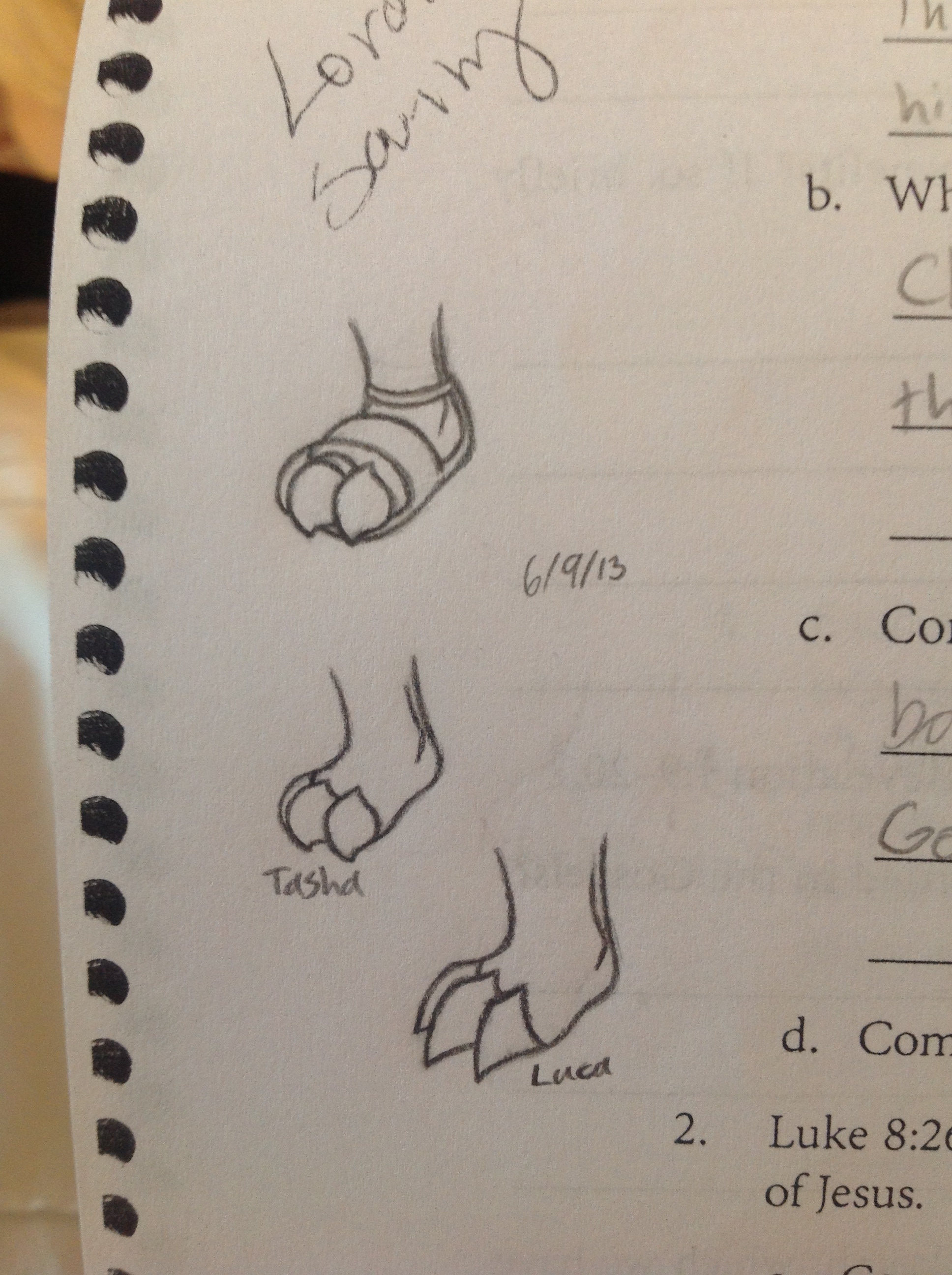 Kotian Foot doodle 6/9/13