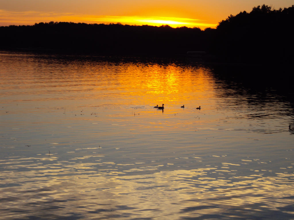 Sunset with Ducks