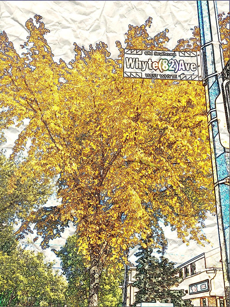 Whyte Avenue Tree by livingsanctuary on DeviantArt