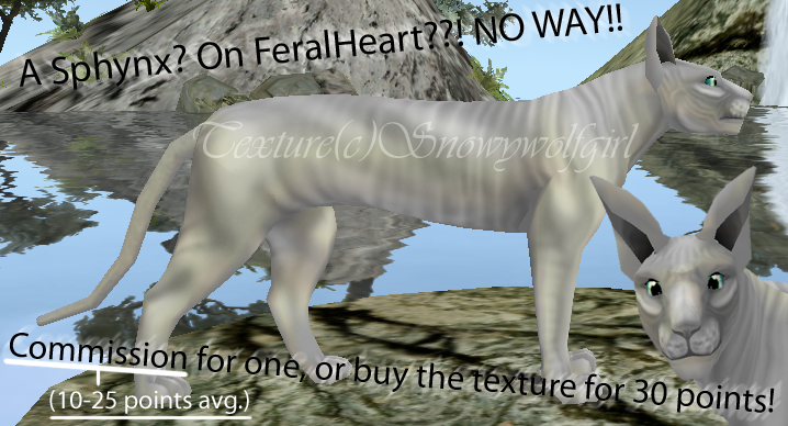 FH: Sphynx Texture
