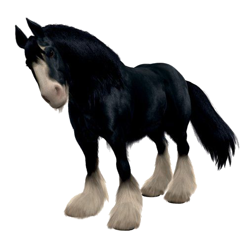 Angus by castleoblivion30 on DeviantArt