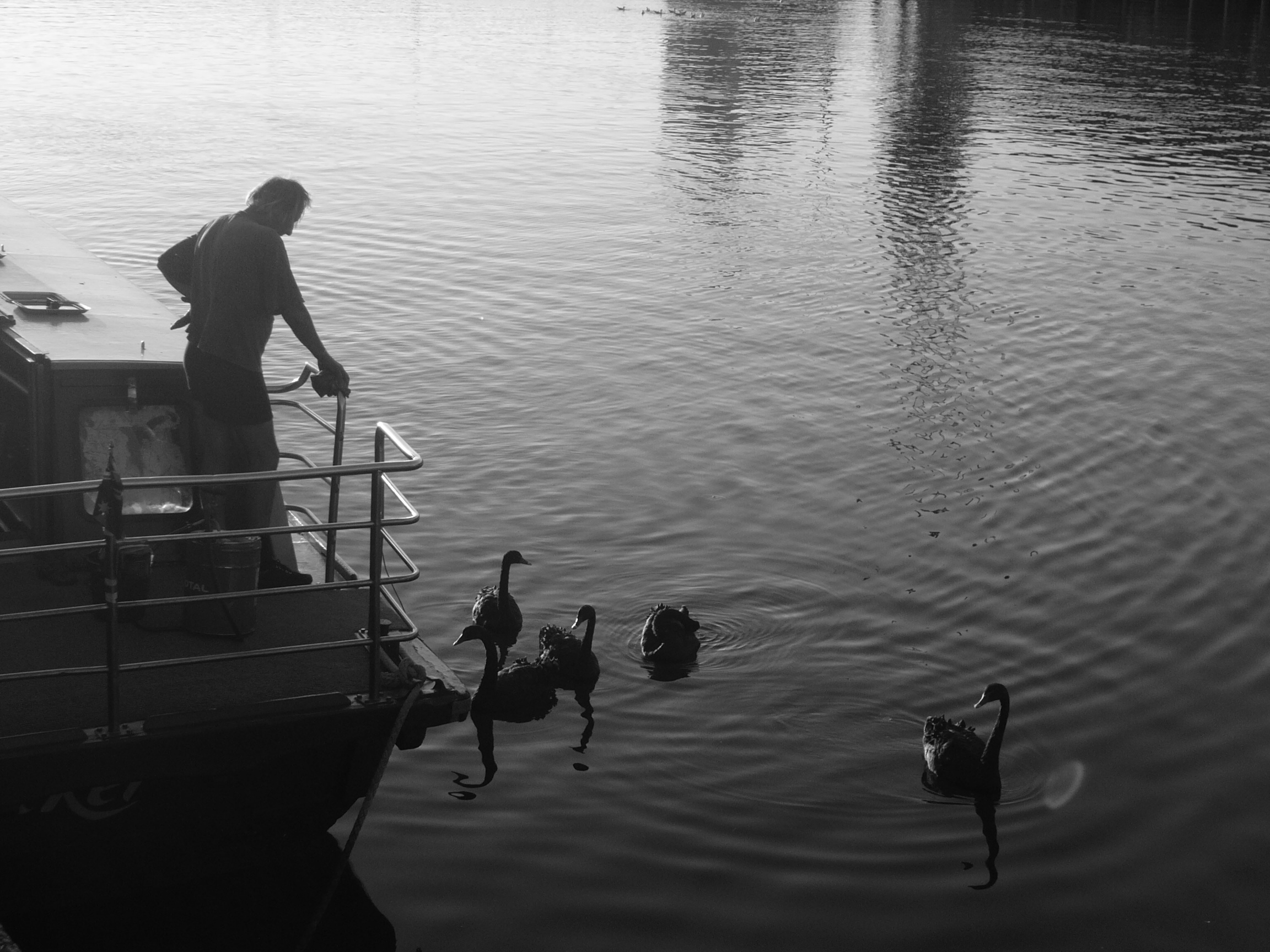 Yarra Swans