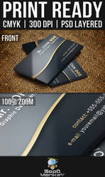 Sleek Theme Business Card