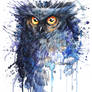 Commission: Owl