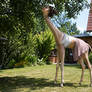 look! Our neighbors have a giraffe in their garden