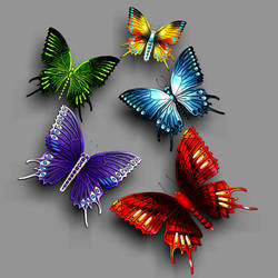 Butterfly Collection - SMALL