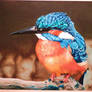 Henry, the Kingfisher