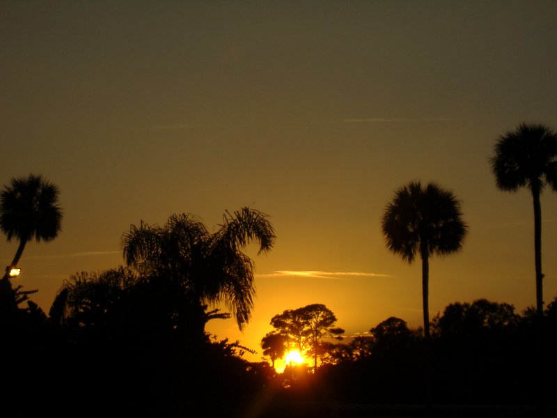 Golden Sunset 2 by richardxthripp on DeviantArt