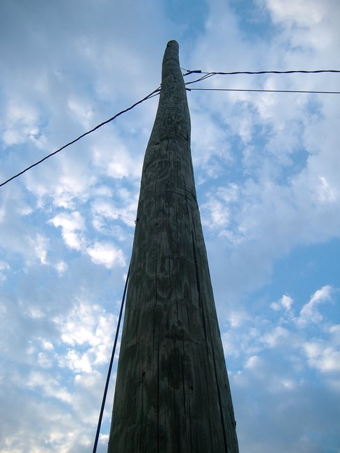 Telephone Pole