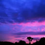Pink and Purple Sunset 3