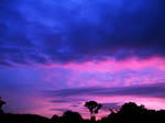 Pink and Purple Sunset 3