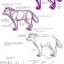 Notes on How to Draw Wolves and Canines