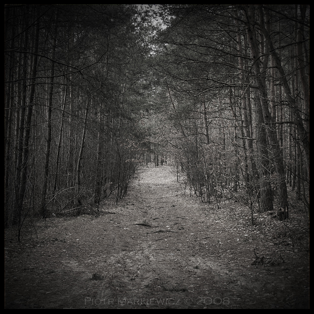 The path to your nightmares by Soczi
