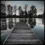 Dimness memoirs
