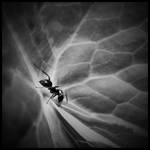 Somewhere in darkness by Soczi