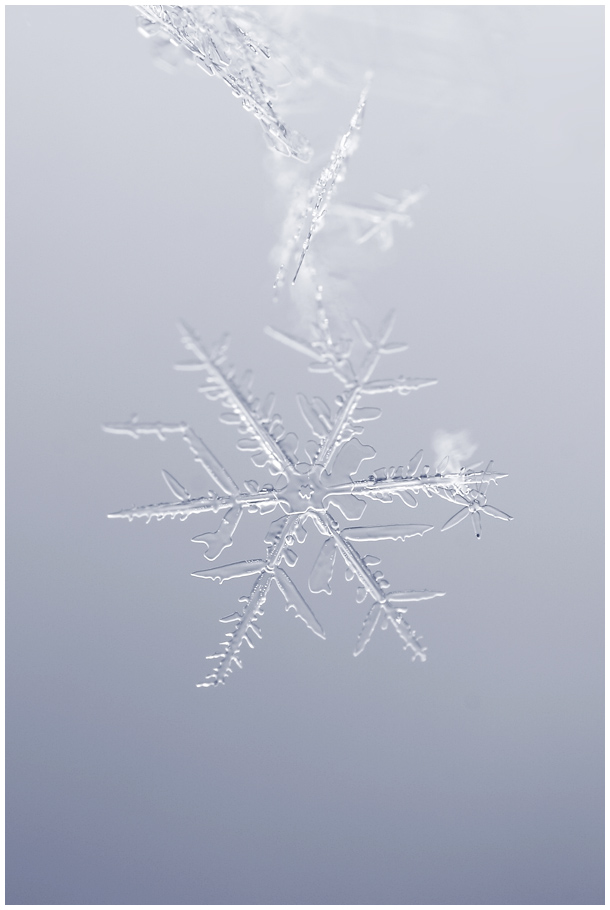 Snowflake II