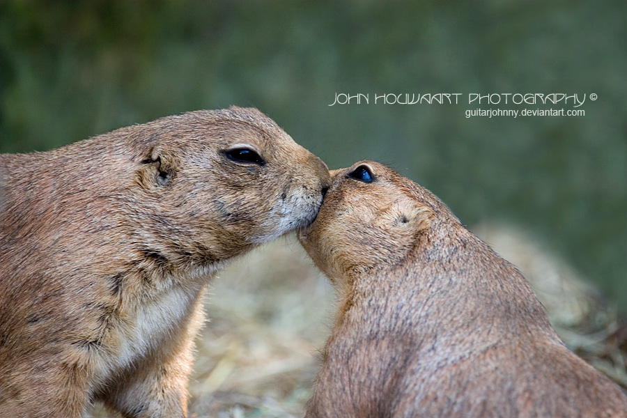 French Kiss