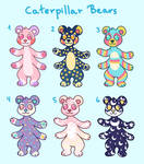 [CLOSED] Caterpillar Bears