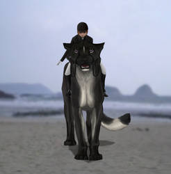 Dressage? Bring it on.