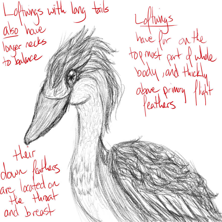 Loftwing Info by RussianWallet on DeviantArt