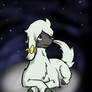 Shadoomy's Ama of Good Night Meadows Ranch