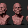 10 Clay materials for ZBrush_bust