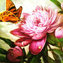Butterfly and Peony