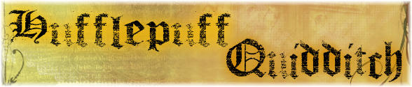 Hufflepuff Banner 02